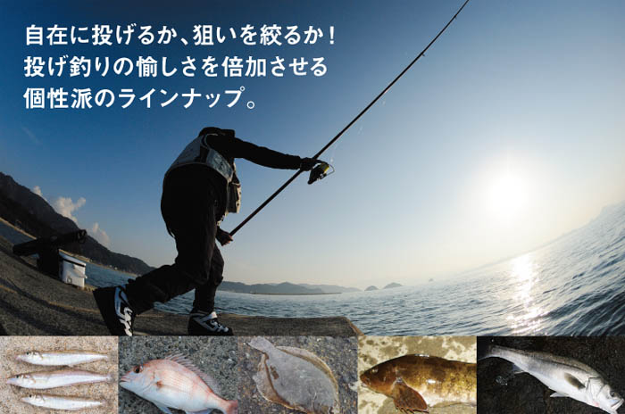 Cần câu cá Daiwa Prime Surf T33 4.25 New	2015